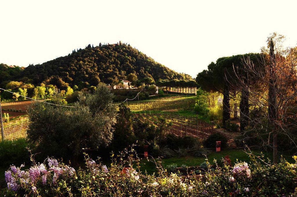 Podere L'Olmaia Marsiliana Exterior photo