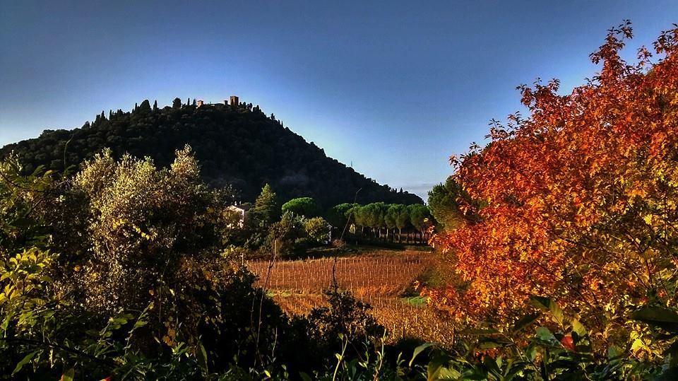Podere L'Olmaia Marsiliana Exterior photo